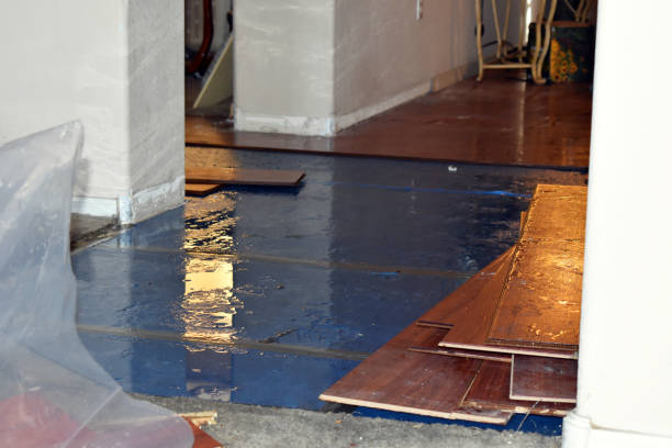 Professional Flood Damage Restoration technician working in Lyndeborough, NH